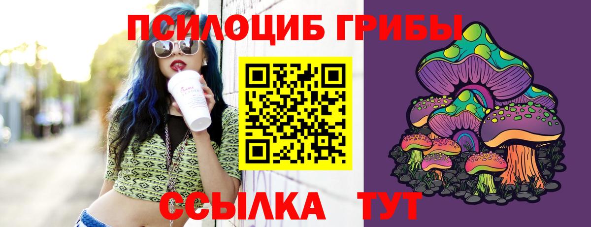 Галлюциногенные грибы ЛСД  Вход с VPN  Сочи  Галлюциногенные грибы Psilocybine cubensis 