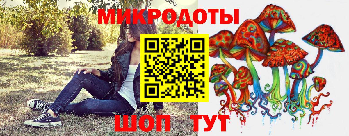Псилоцибиновые грибы мицелий Сочи
